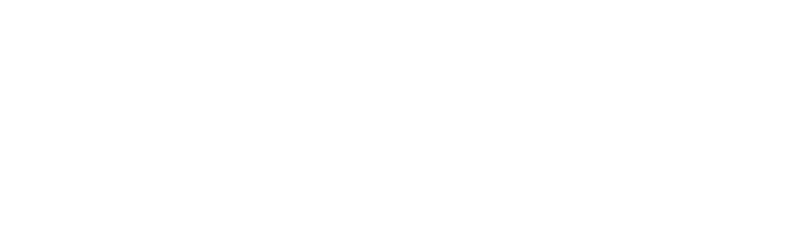 wikistarlogo